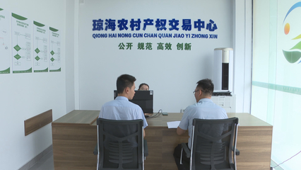 瓊海市農(nóng)村產(chǎn)權(quán)交易服務(wù)中心揭牌成立，控股公司助力鄉(xiāng)村振興